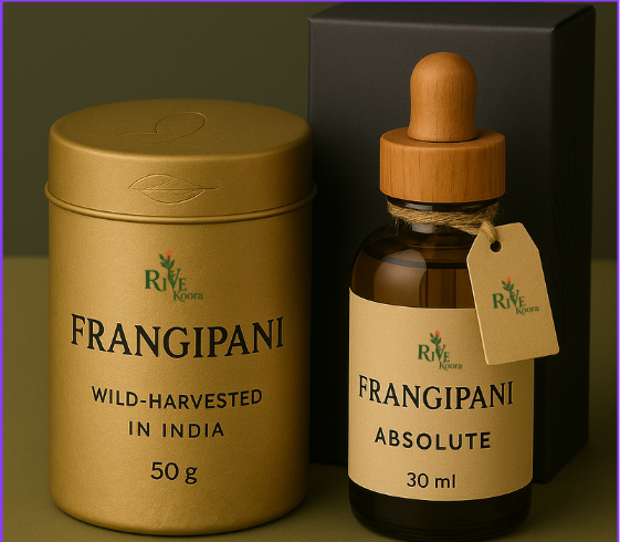 Frangipani Absolute & Concrete