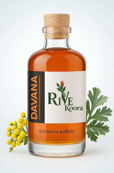 Davana Essential Oil